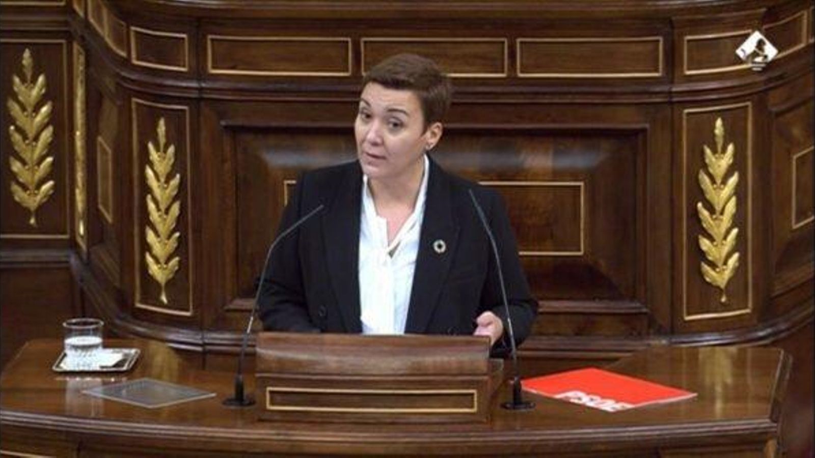 Gemma Araujo, en el Congreso.