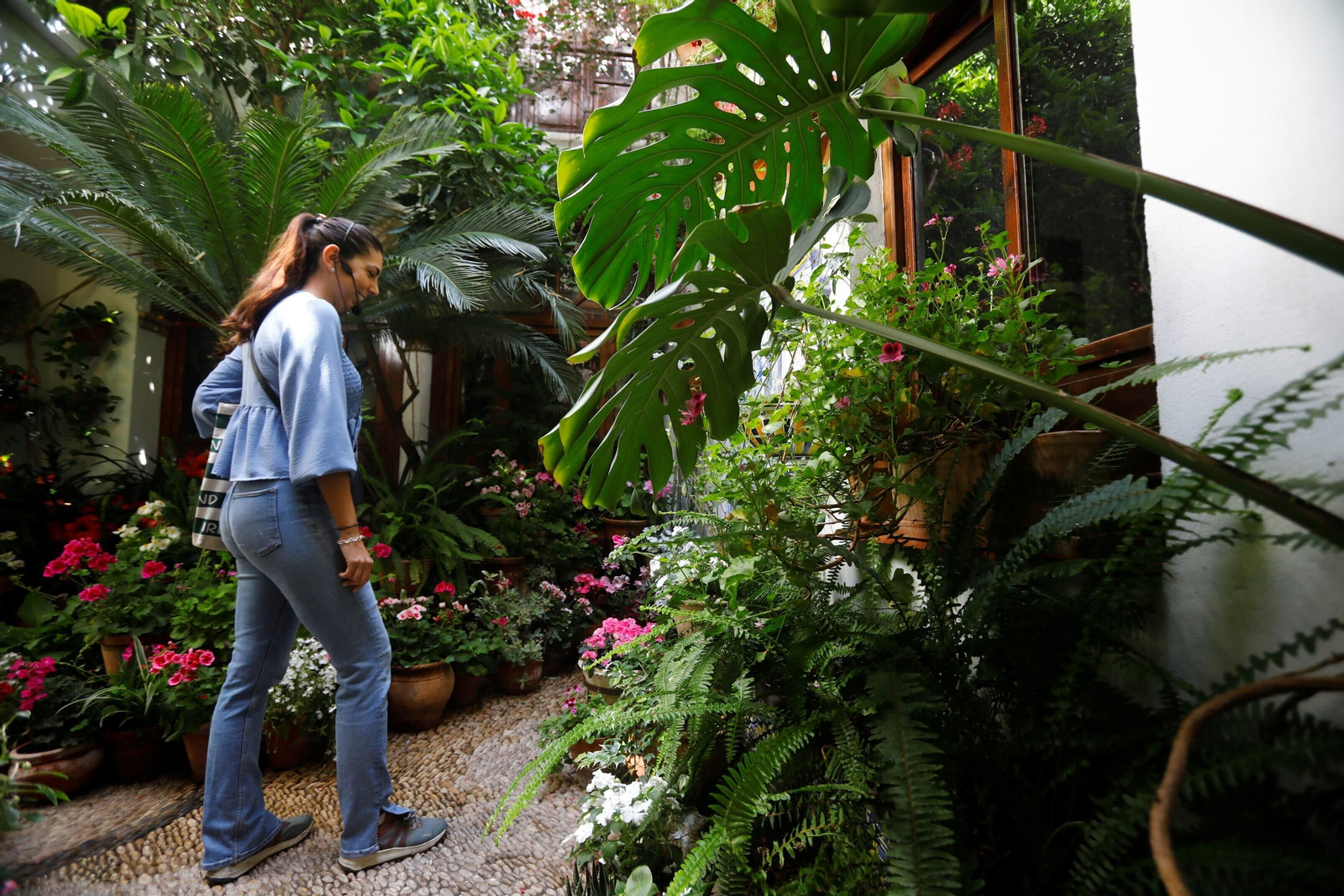 Los patios de Córdoba de la ruta Judería-San Francisco, en imágenes