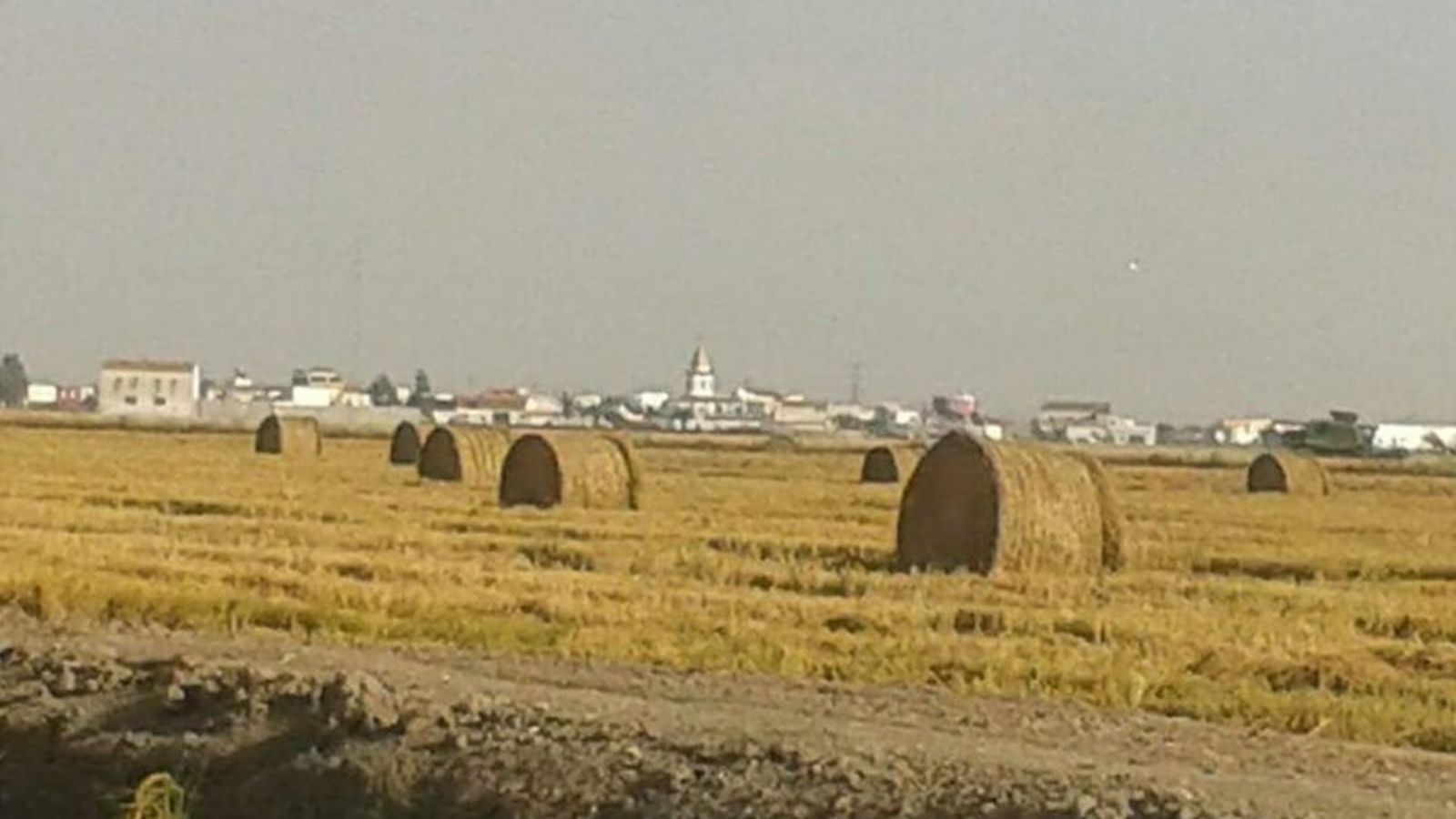 Fotografía de 2013 que muestra paja empacada en Alfonso XIII.