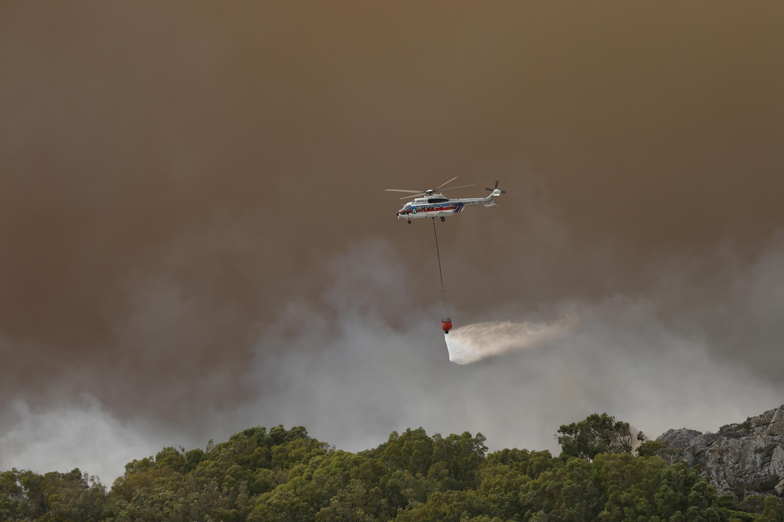 Las fotos del incendio forestal entre la Torre y Valdevaqueros en Tarifa