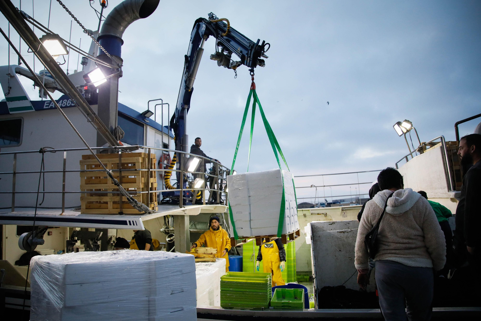 Te contamos en imágenes como ha sido la descarga de las traiñas en la lonja de Almería
