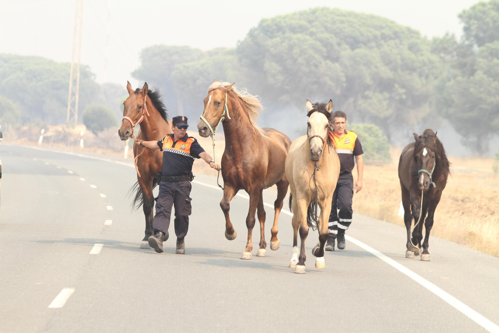 Las imágenes del incendio en Moguer y Mazagón
