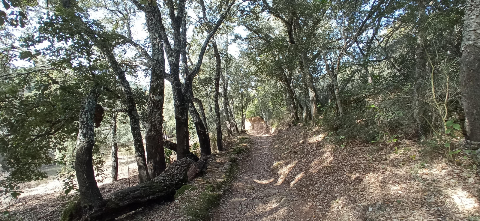 Las imágenes de la ruta de la Dehesa de Valdelama: De Los Marines a Fuenteheridos y vuelta