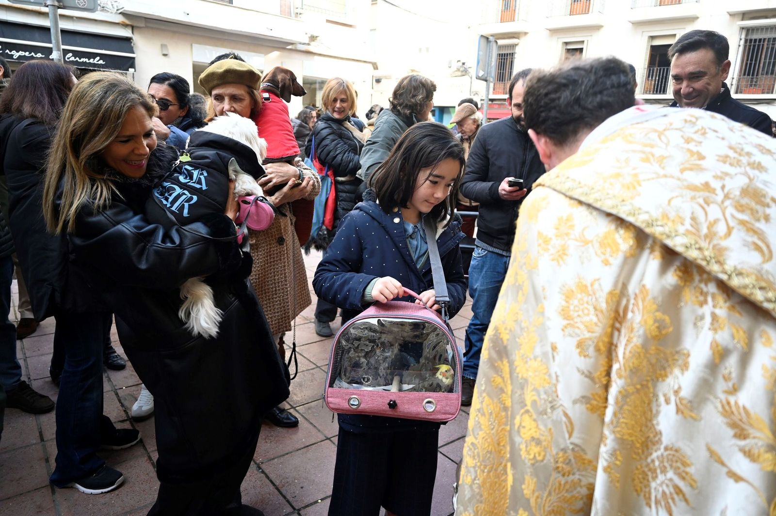 La bendición de animales por San Antón en Córdoba