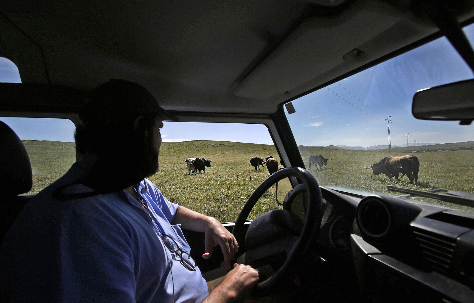 Mas cornadas da el virus, visita a la ganadería de Nuñez La Palmosilla