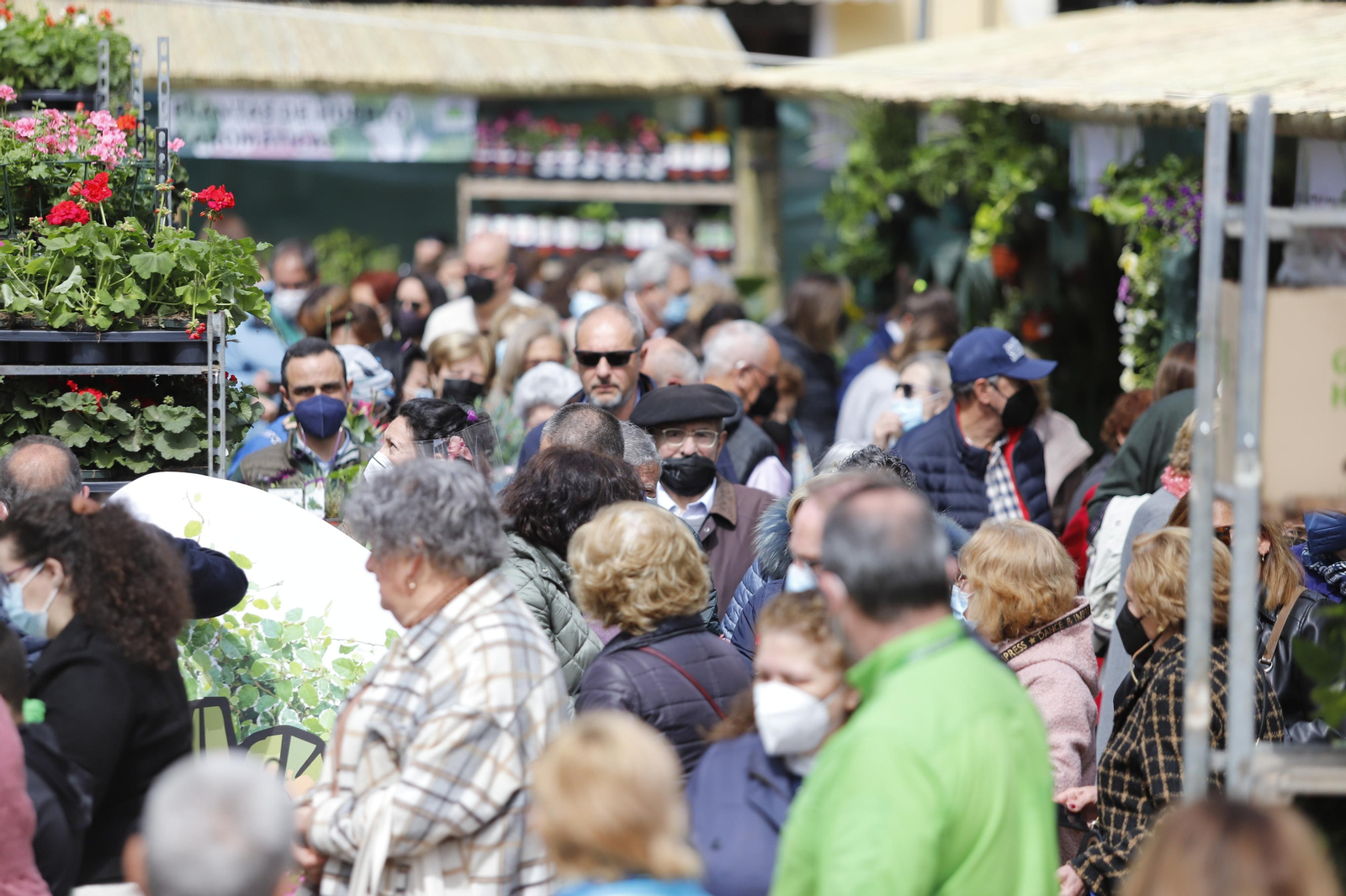Imágenes del 'V Mercado de Flores y Plantas de Huelva' en la Plaza de Las Monjas