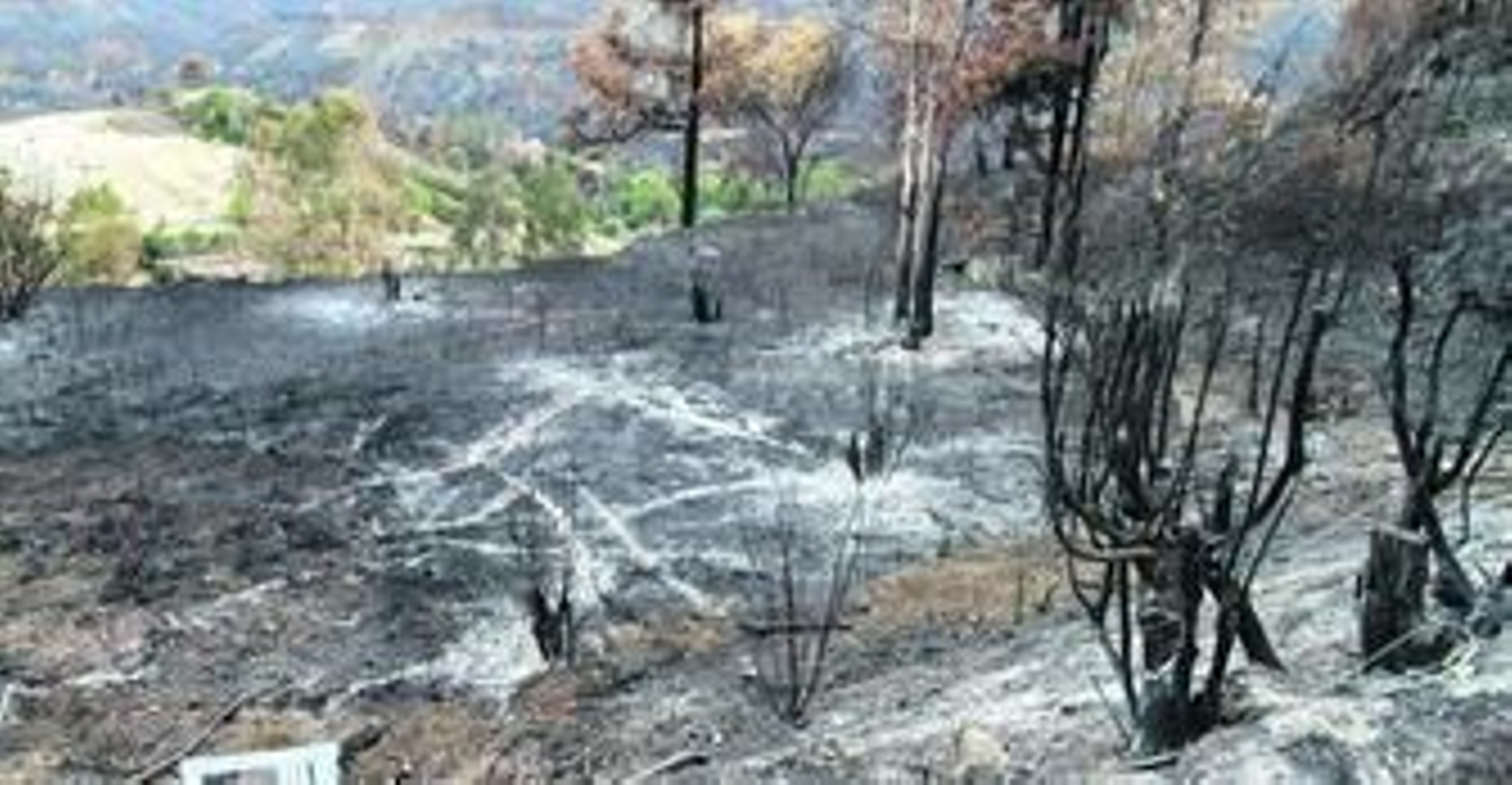 La zona en la que supuestamente se originó el incendio según las conclusiones de la investigación.