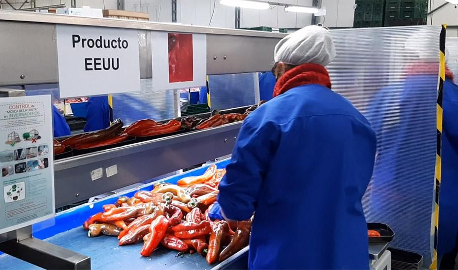 Una trabajadora prepara productos agroalimentarios andaluces para su exportación. Una trabajadora prepara productos agroalimentarios andaluces para su exportación.