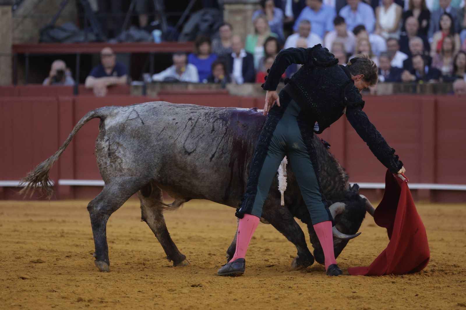 Las imágenes de la corrida de los Victorinos en la Maestranza de Sevilla