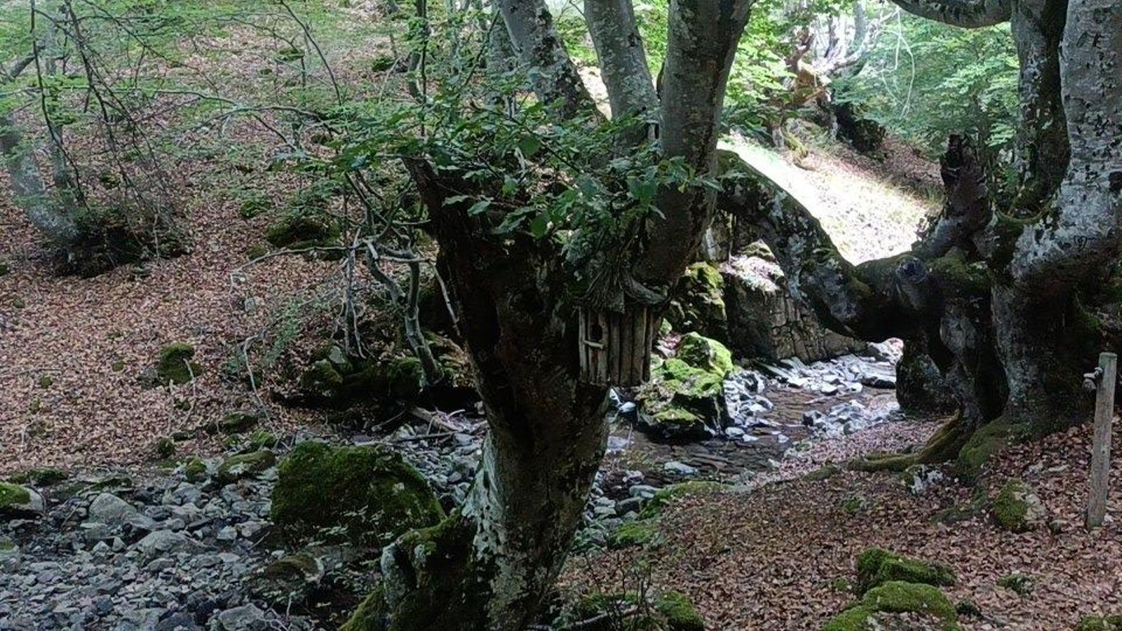 Avance por el Faedo de Ciñera.