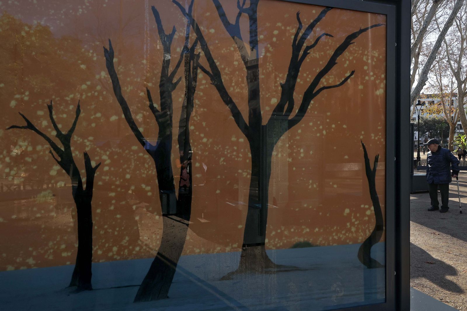 La exposición 'Colores del Mundo' del parque María Cristina de Algeciras, en imágenes