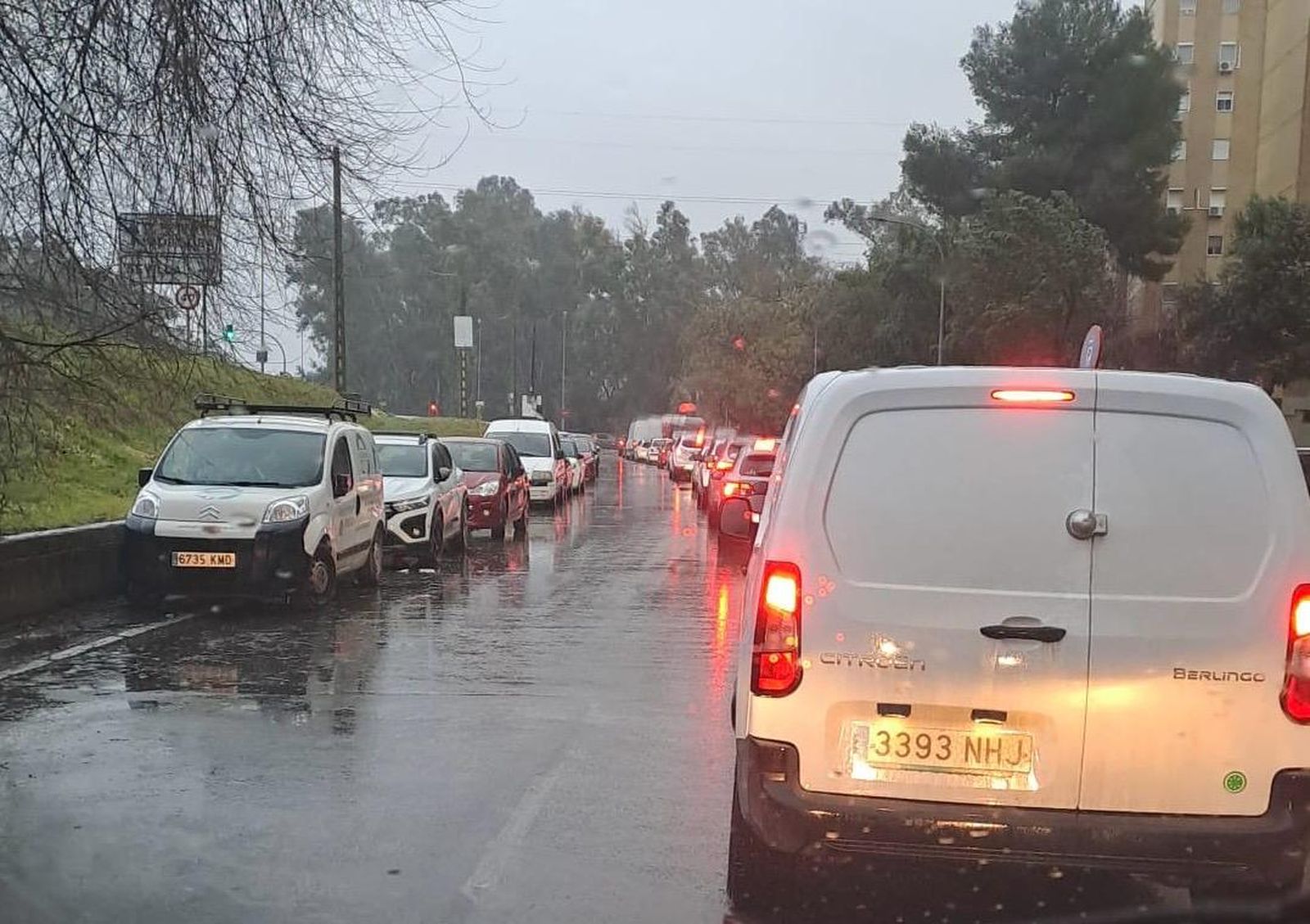 Colas de vehículos en Pino Montano.