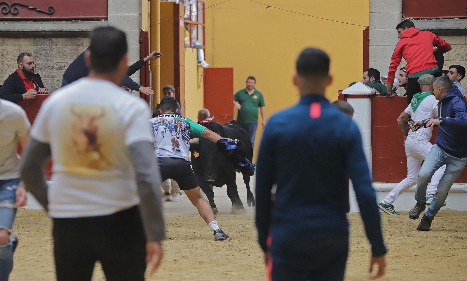 Fotos de los encierros del domingo del Toro Embolao en Los Barrios