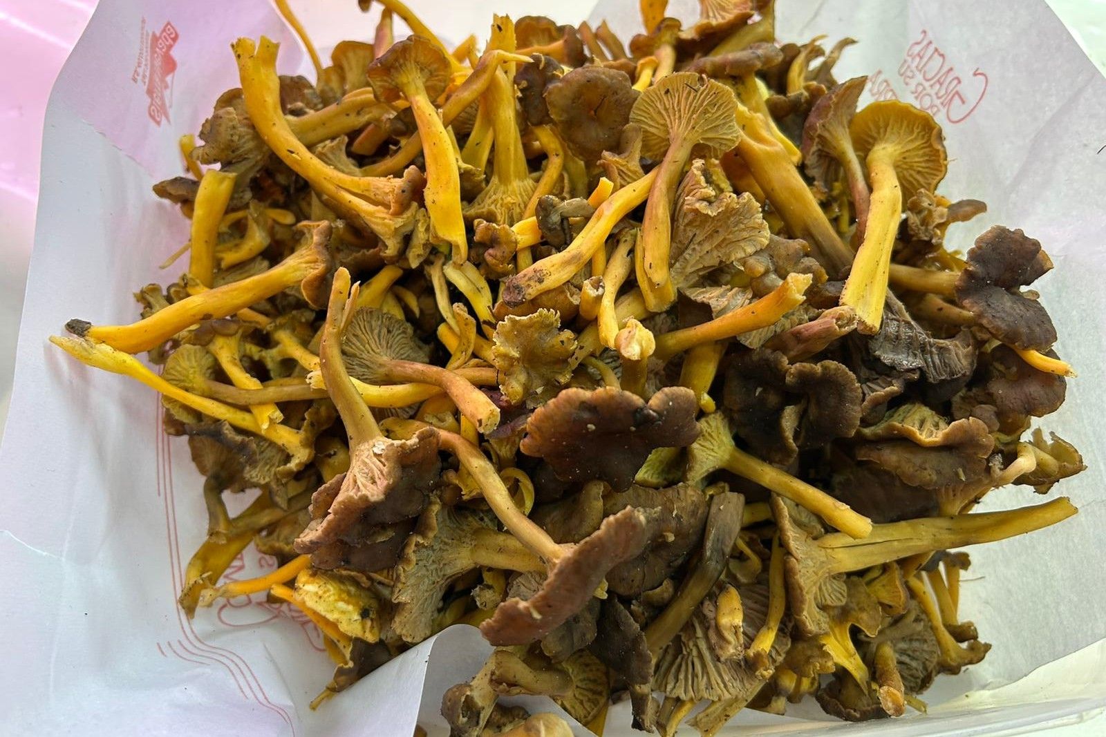 Las setas ecológicas más reconocidas del Mercado de Abastos