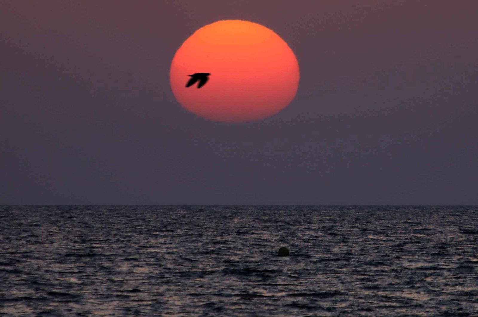 Imágenes del lunes 28 de agosto en Huelva