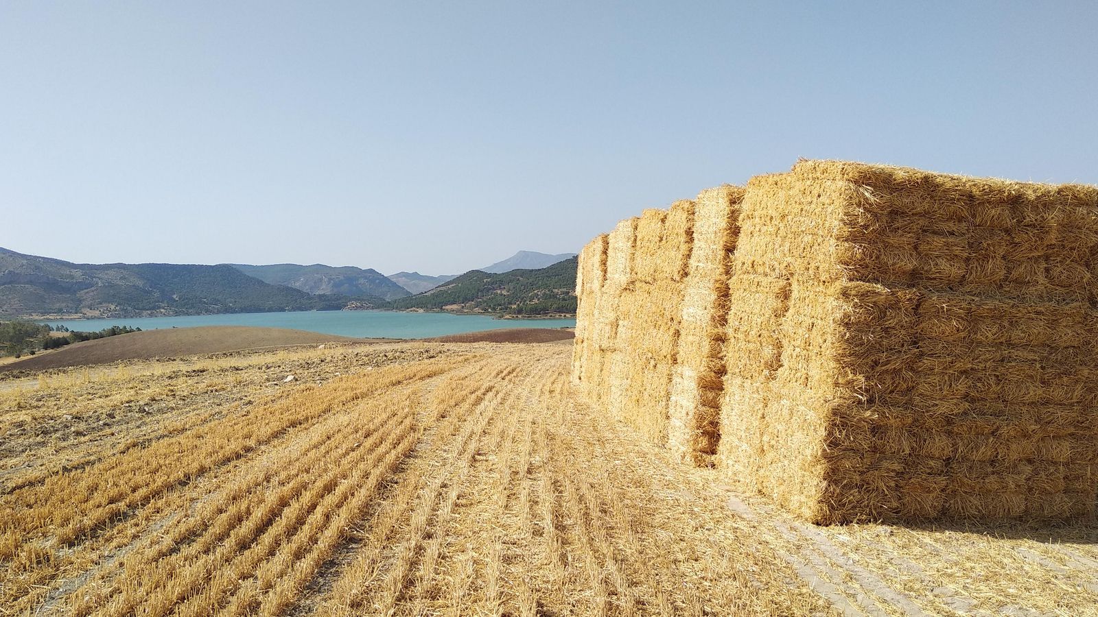 La senda se cruza con campos de cereales y otros cultivos.