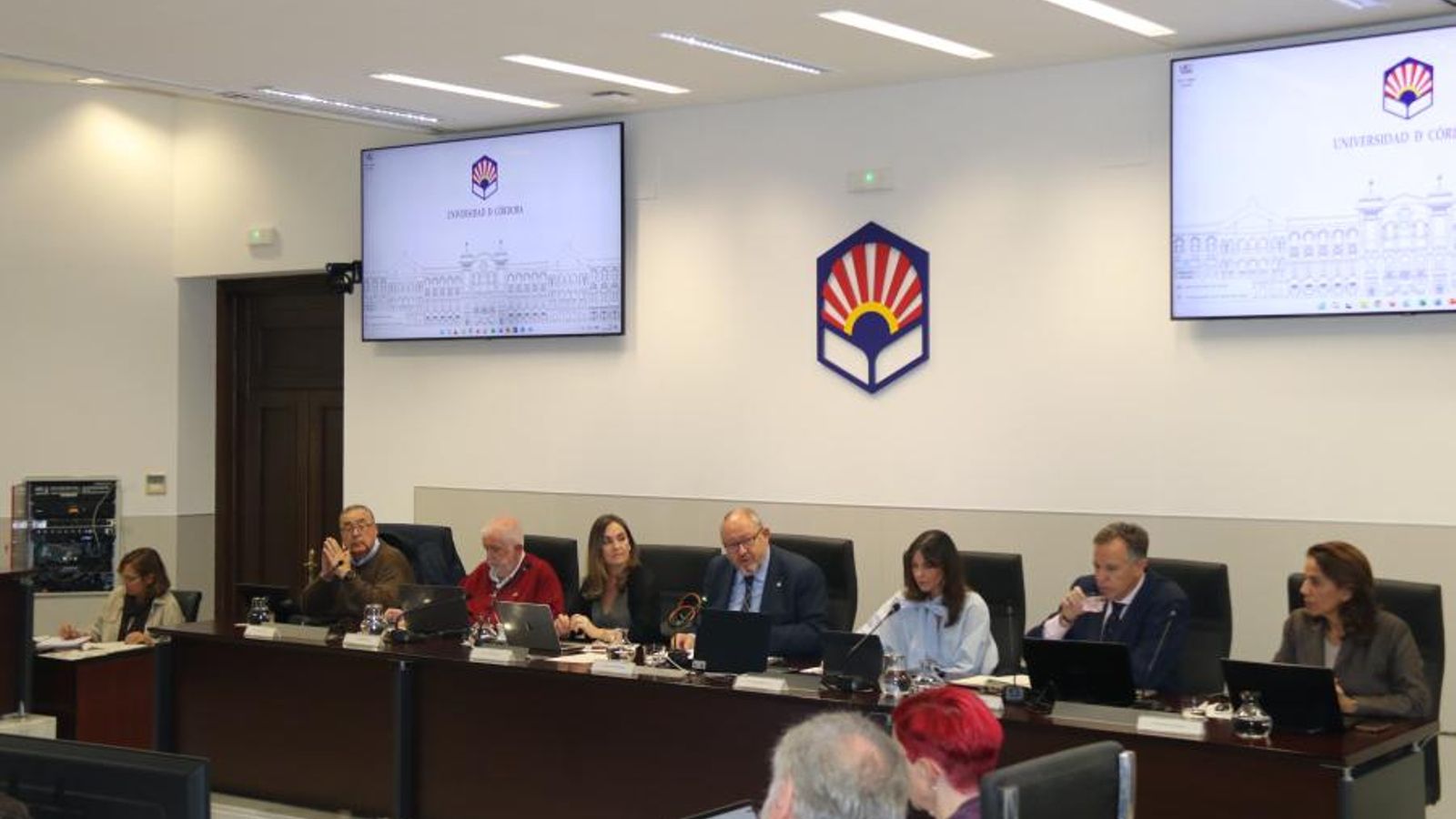 Un momento del consejo de gobierno de la Universidad de Córdoba.