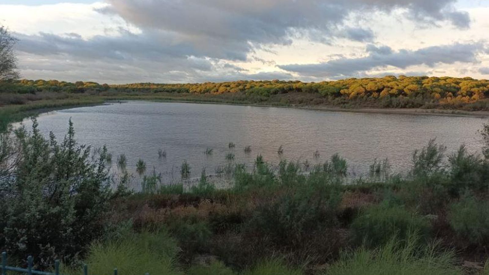 La laguna del Portil en noviembre.
