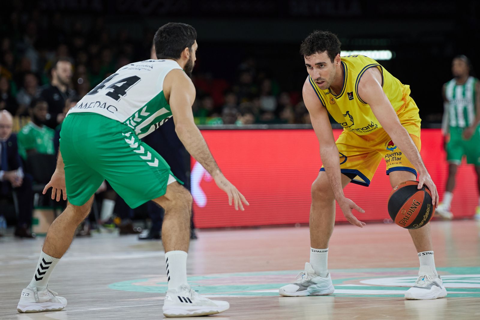 Las fotos del gran triunfo del Betis Baloncesto sobre el Gran Canaria