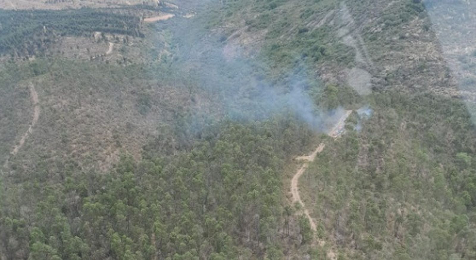 Lugar del incendio forestal.