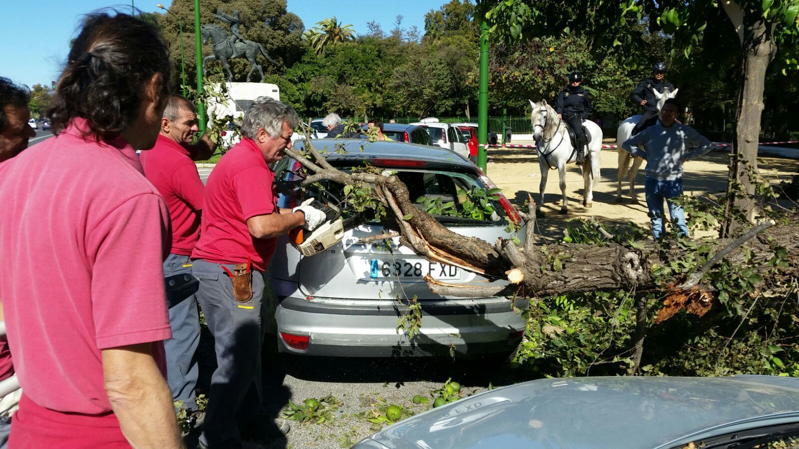 El árbol cayó cerca de un coche.