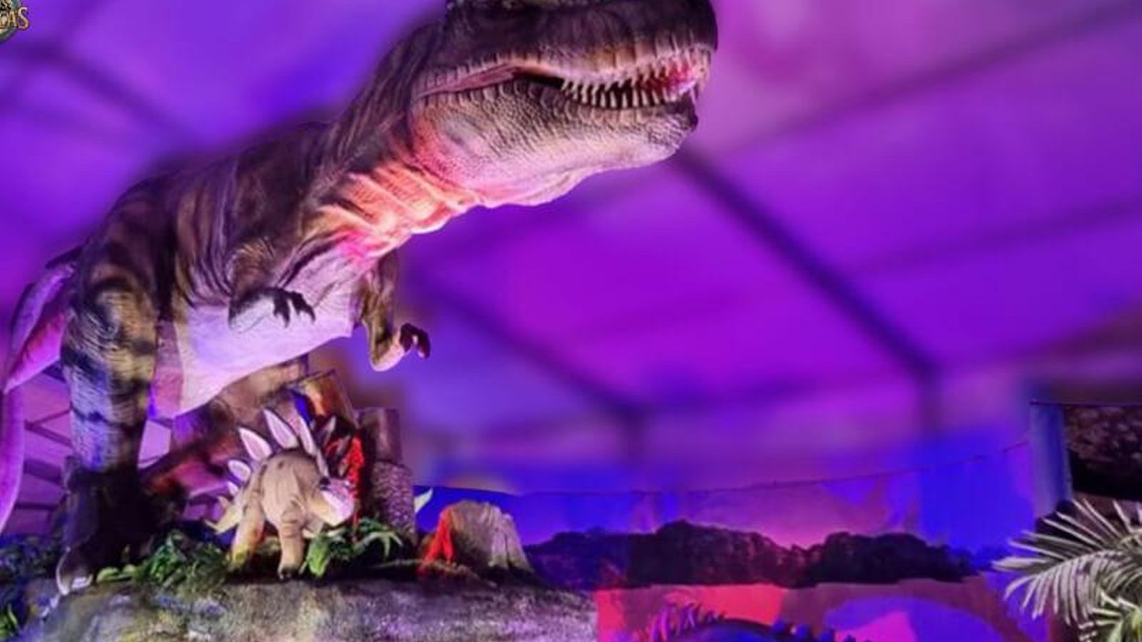 ¿Quién no conoce al mítico Tyrannosaurus Rex? Pues aquí lo vas a ver a tamaño real.