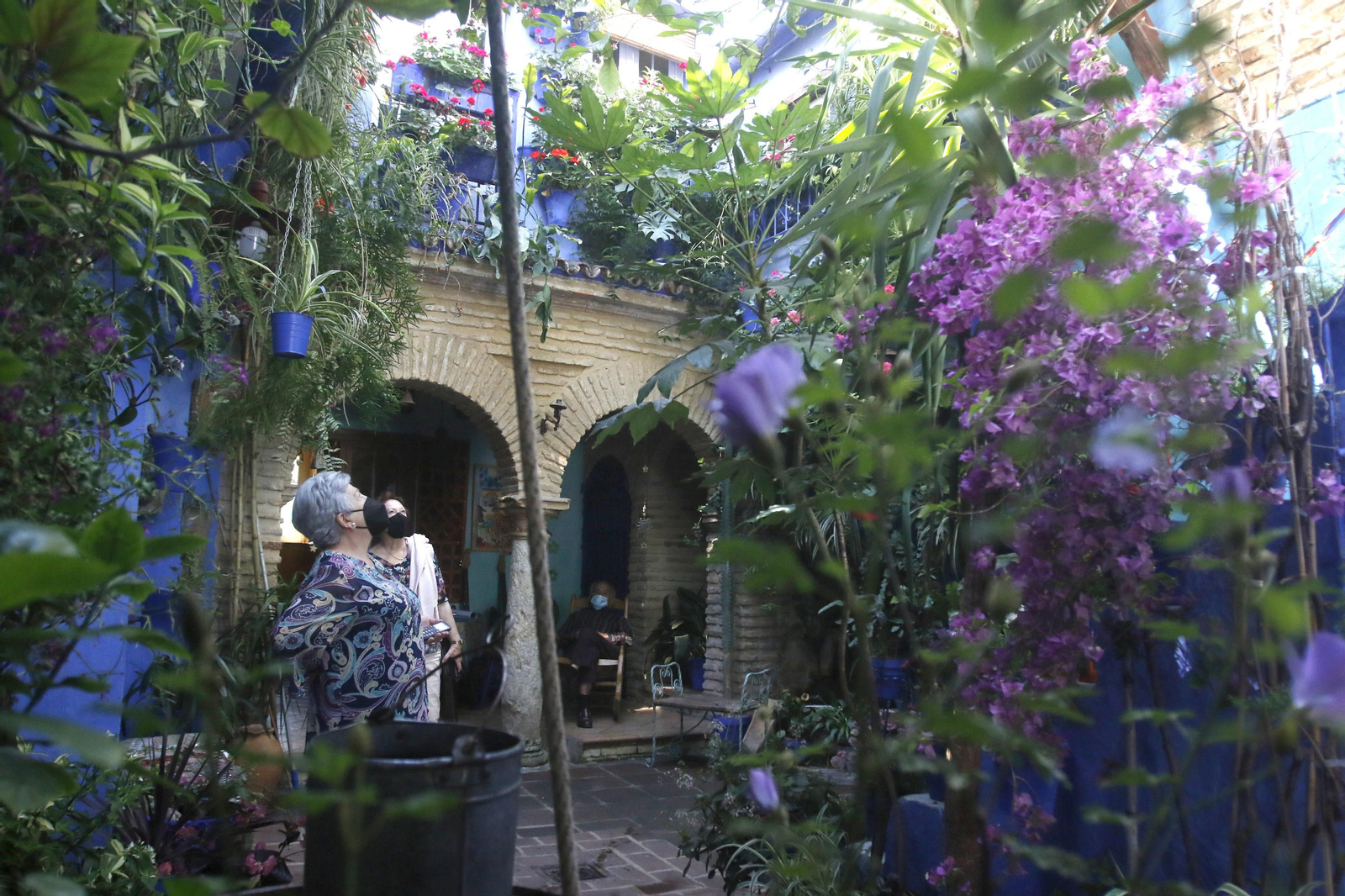 Ruta San Lorenzo de los Patios de Córdoba, en imágenes