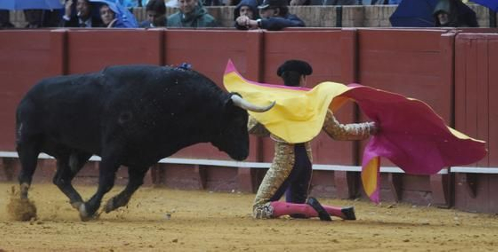 Foto: Juan Carlos Vázquez