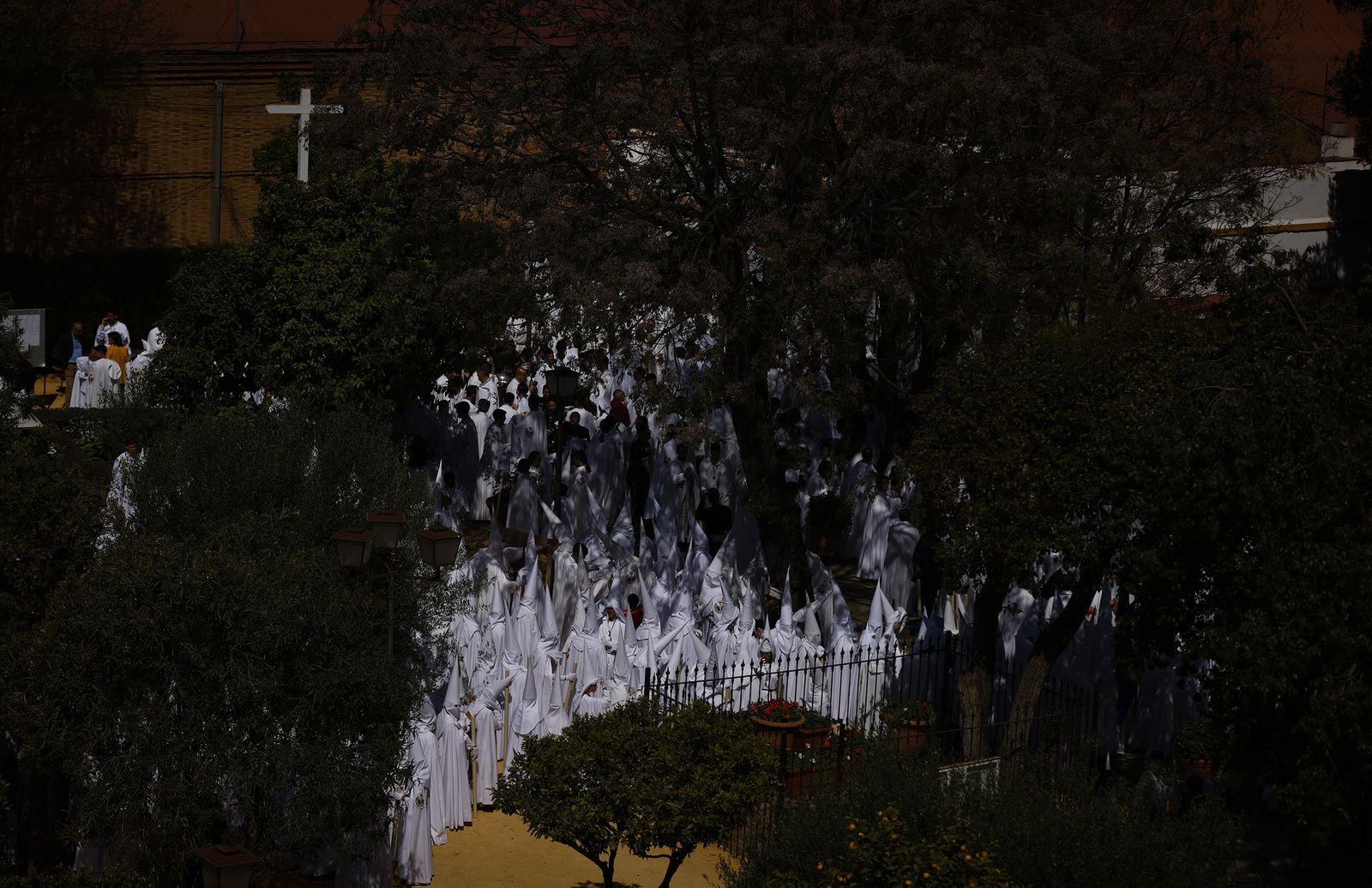 Fotos de La Paz el Domingo de Ramos en la Semana Santa de Sevilla