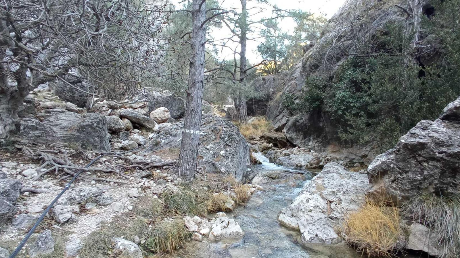 Cascadas de Guazalamanco