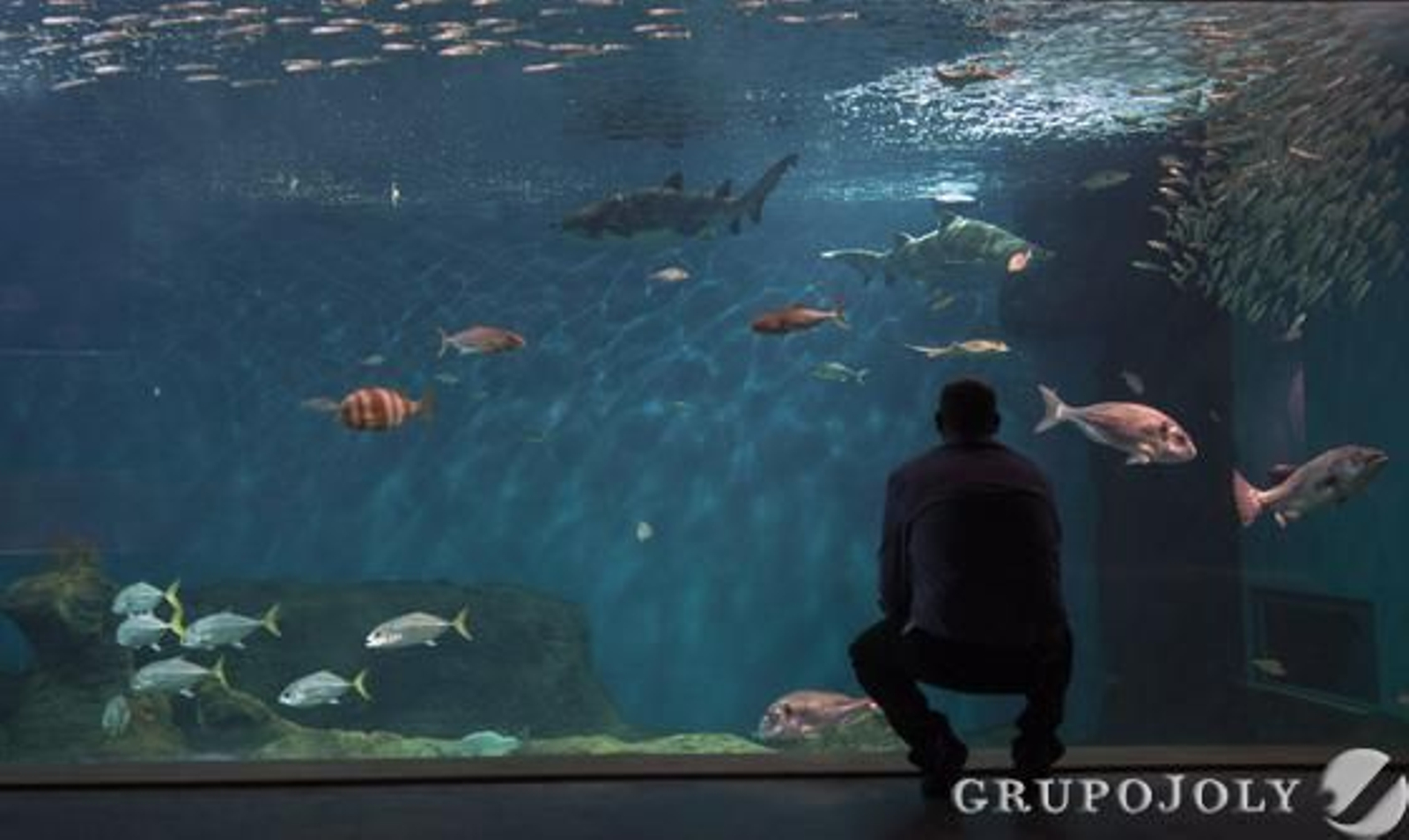 Foto: Antonio Pizarro