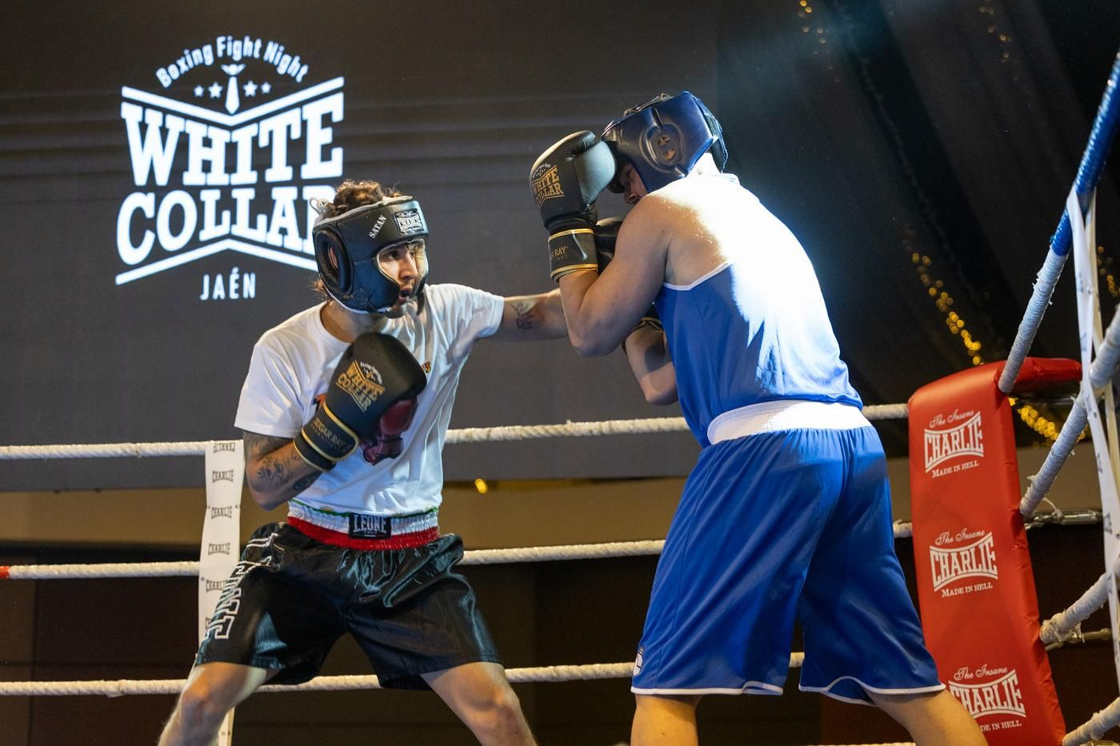 El boxeo solidario de la VI velada White Collar Boxing cautiva al público de Jaén