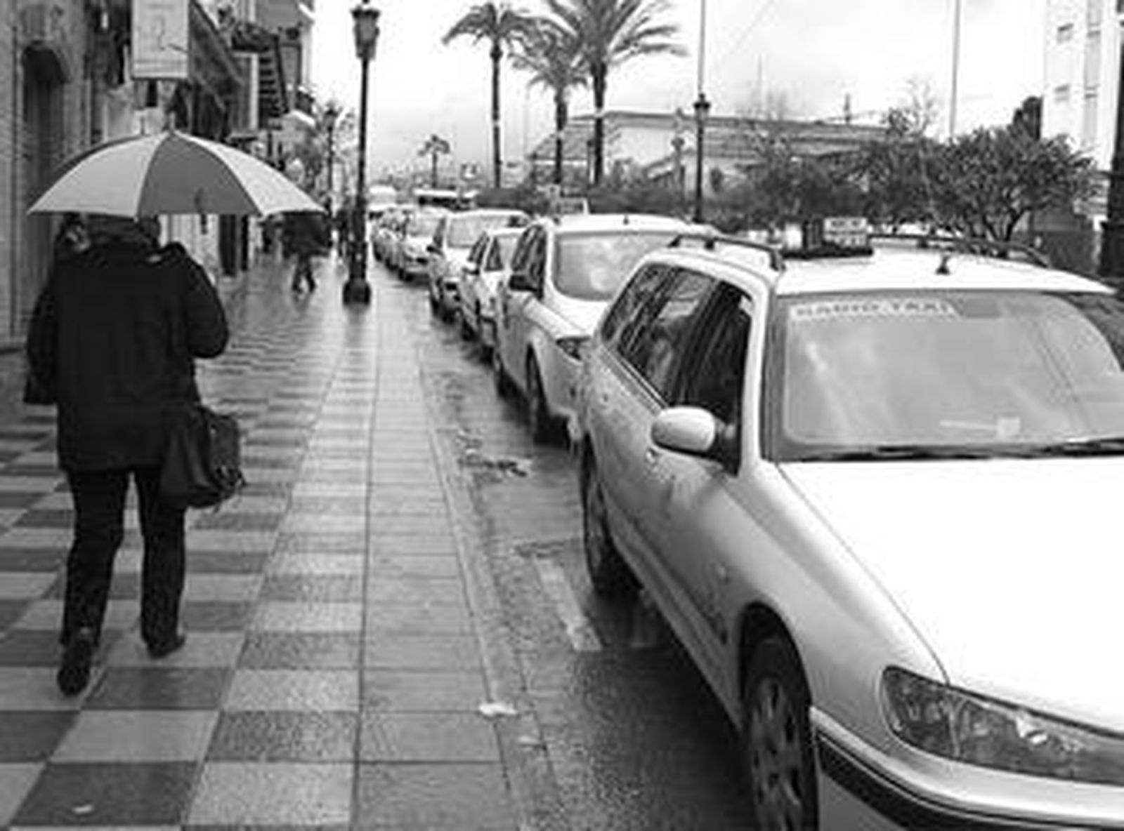 Varios vehículos en cola en una parada a la espera de que llegue la clientela.