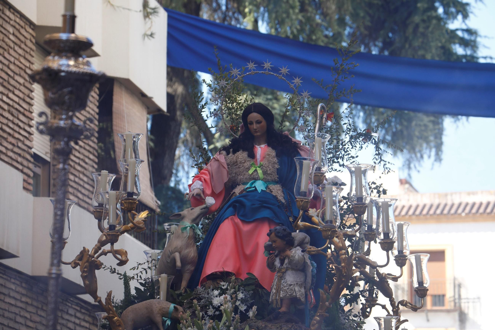 Las mejores fotos del traslado de la Divina Pastora de Córdoba
