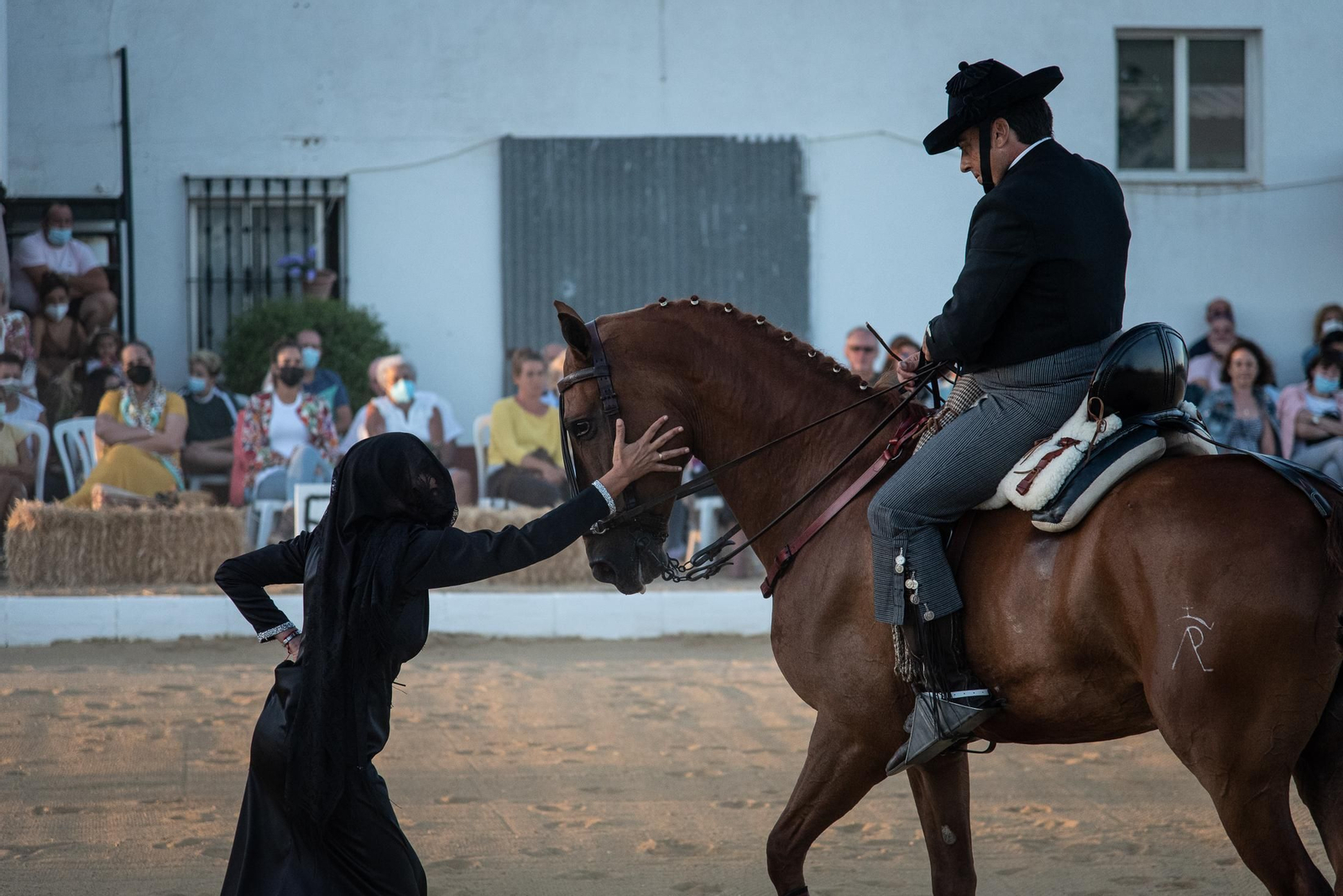 El espectáculo Flamencab en imágenes