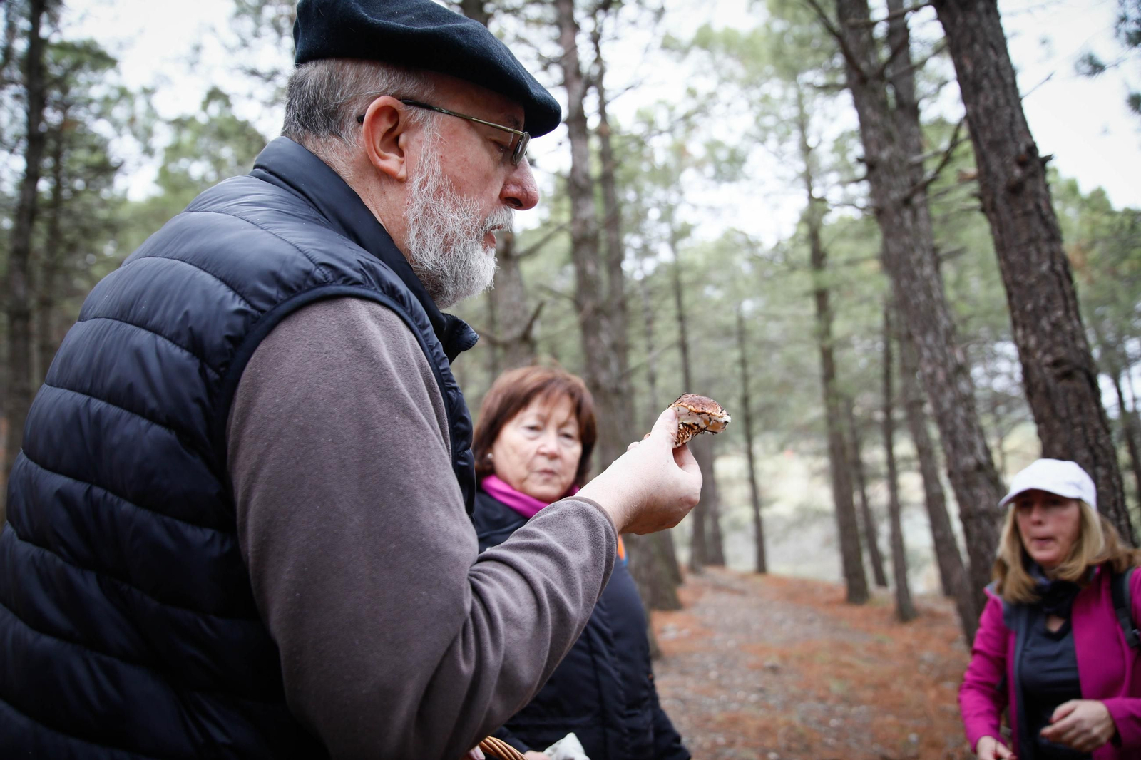 La ruta recolectora de setas en Abla por las XIX Jornadas Micológicas, en imágenes