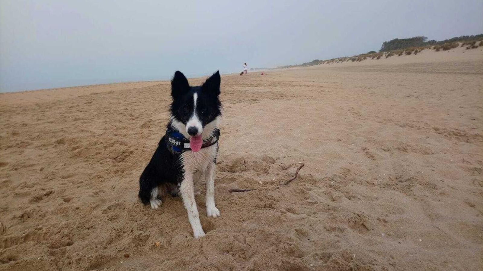 Playa Icona-Pesmar, en una imagen de archivo.