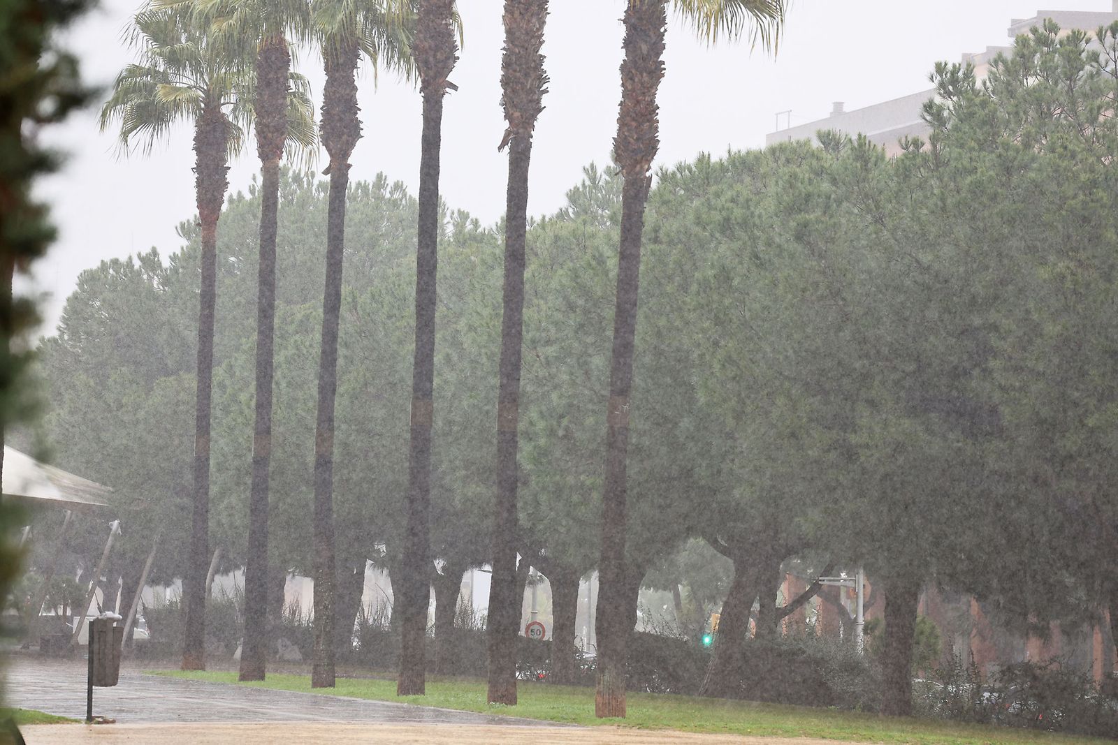 Las imágenes más destacadas del sábado 25 de enero en Huelva