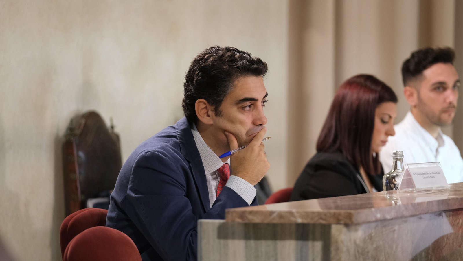 Imágenes del pleno del Ayuntamiento de Almería