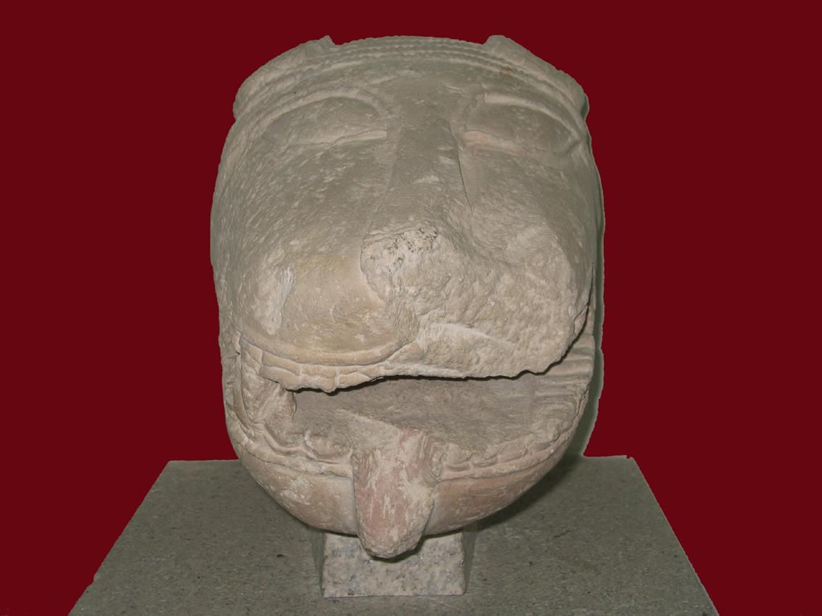 Cabeza de león hallada en Nueva Carteya custodiada en el Arqueológico de Córdoba. Las leonas íberas de Córdoba, en imágenes