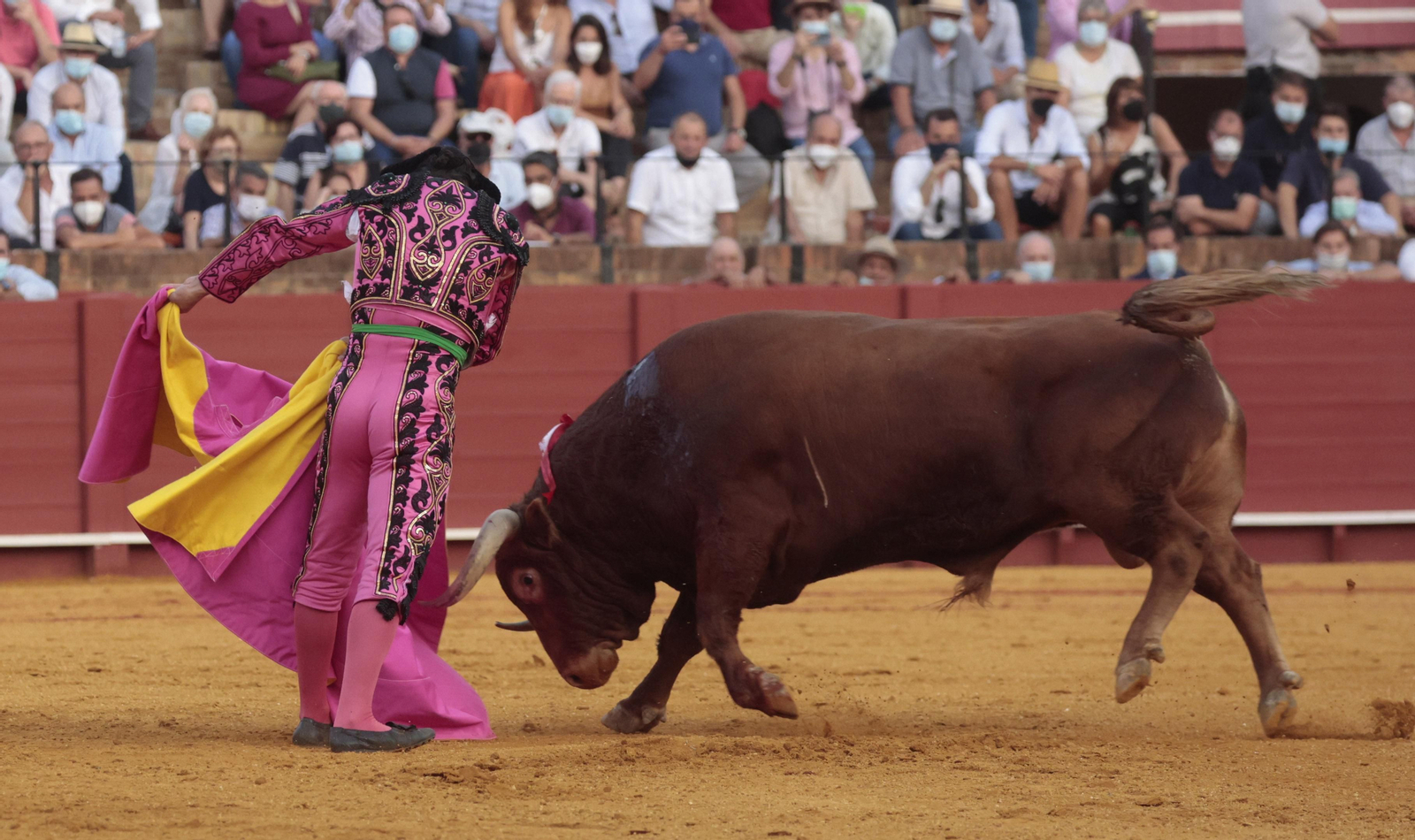 Las imágenes del triunfo de Morante en San Miguel