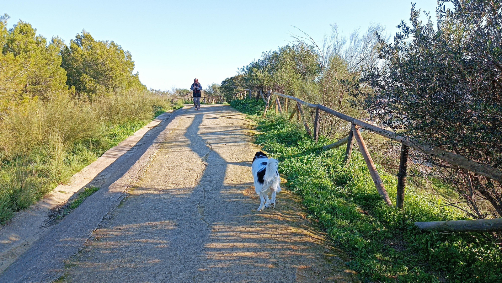 Un cómodo camino avanza por el borde de la cornisa.