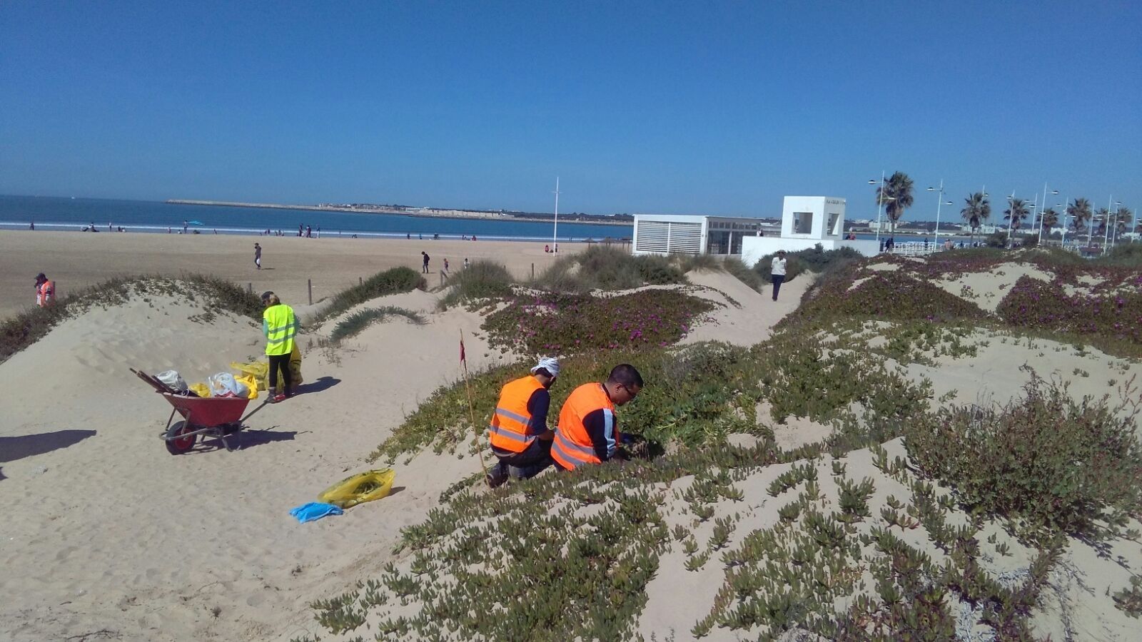 Una imagen de voluntarios trabajando en el Parque de Los Toruños.