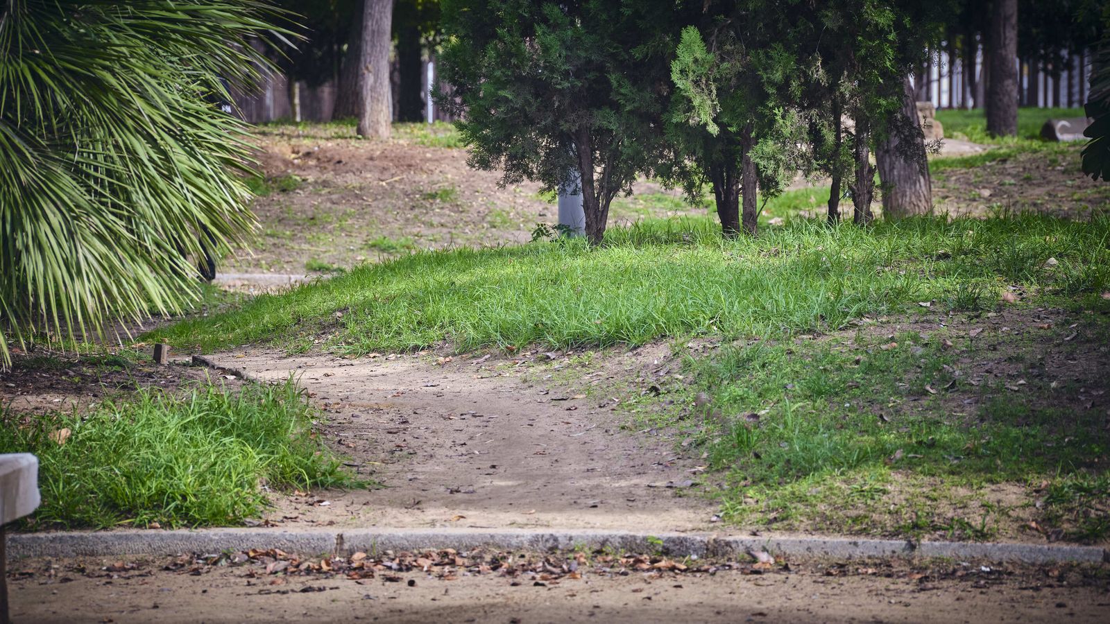 Parque Arqueológico Kotinoussa.