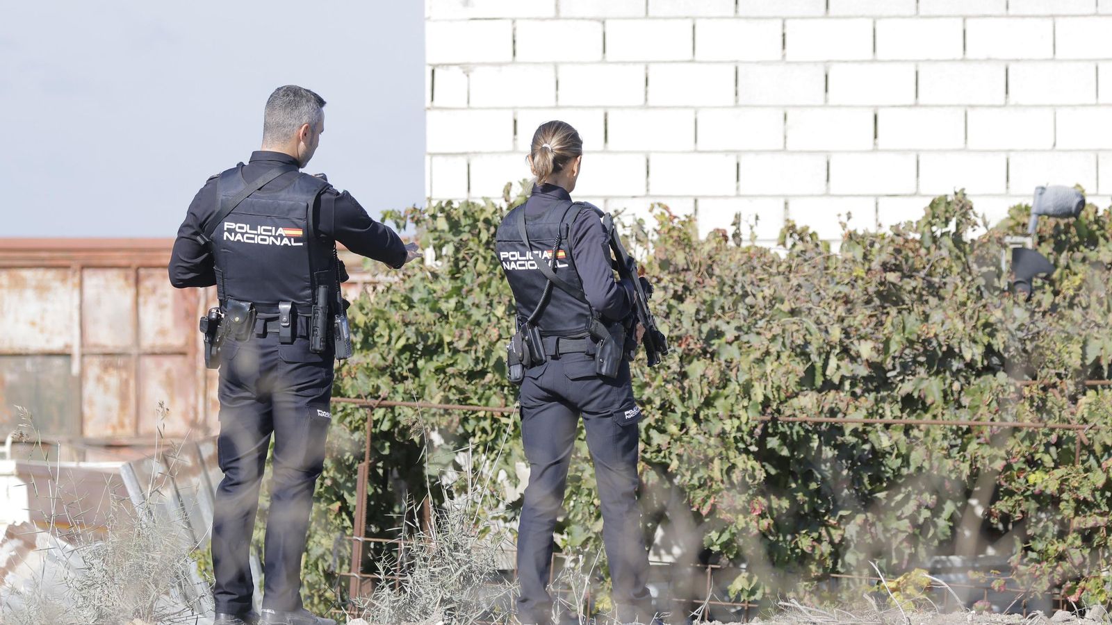 Dos policías inspeccionan una zona en las afueras de Isla Mayor.