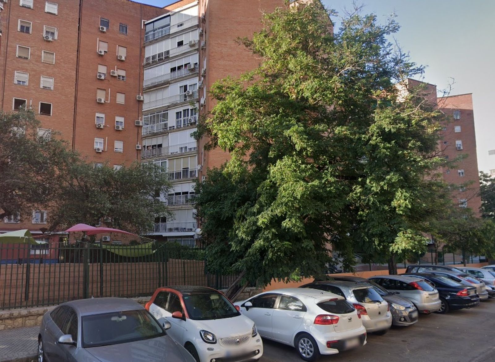 Esta es la robinia pseudoacacia que se va a retirar debido a su excesiva inclinación