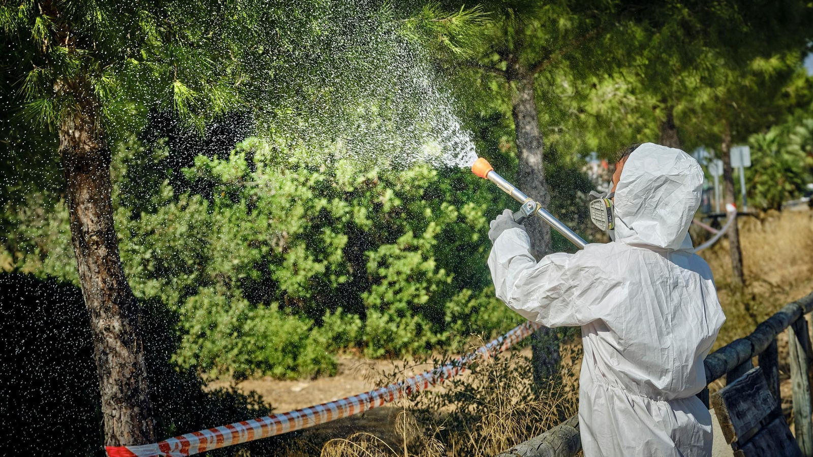 Labores de fumigación contra el mosquito del Virus del Nilo.