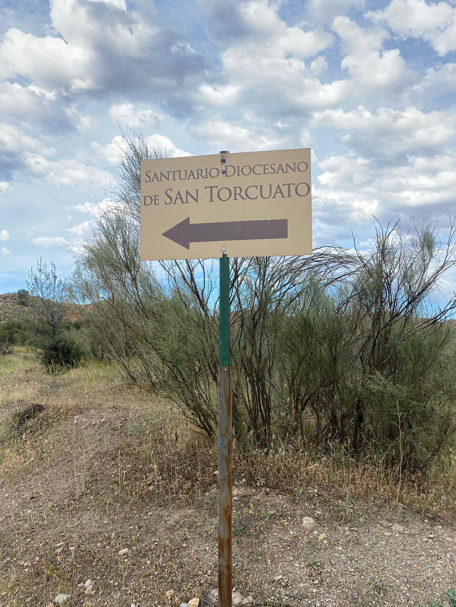 Así fue la Romería de San Torcuato de Guadix, las imágenes