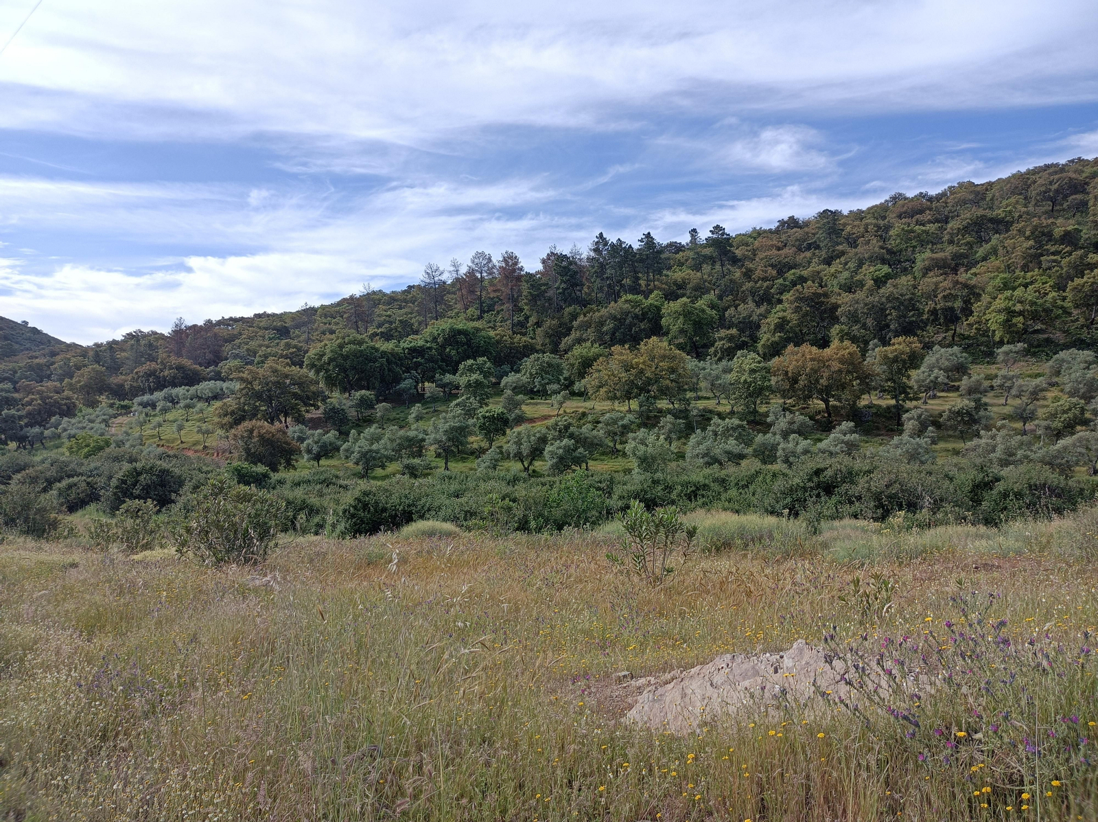 Imágenes de la georruta de El Chorro, en Almadén de la Plata