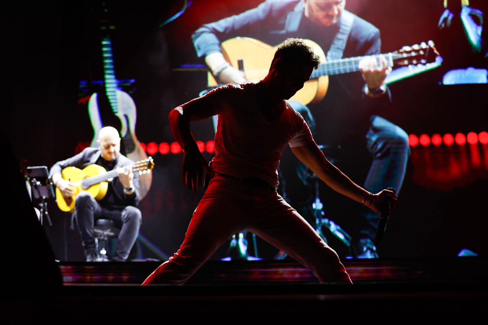 El concierto de David Bisbal, en imágenes